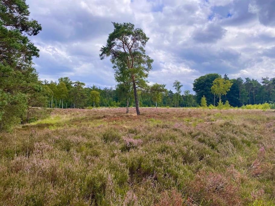 Knus Huisje Op Kindvriendelijk Park Met Zwembad Otterlo Eksteriør bilde